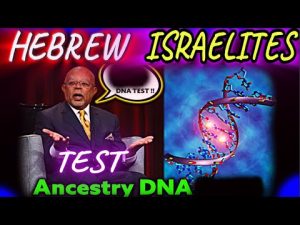 ancestry ancestry