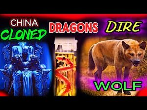 direwolf direwolf